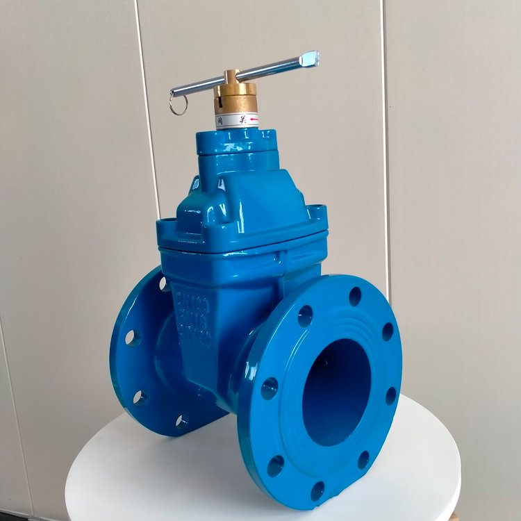 恒亞科技 磁性鎖閉閥 鑄鐵防盜閥法蘭加密閘閥軟密封低壓閘門 - 愛企